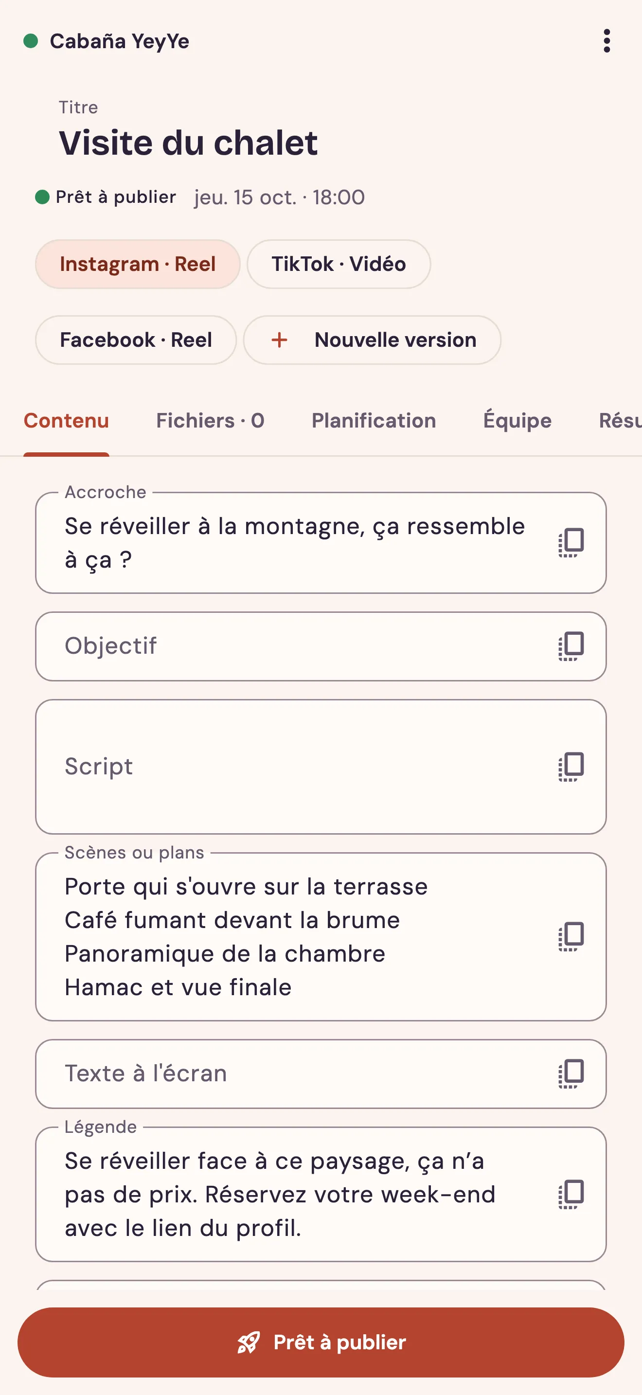 Fiche d'une publication avec ses versions pour chaque réseau
